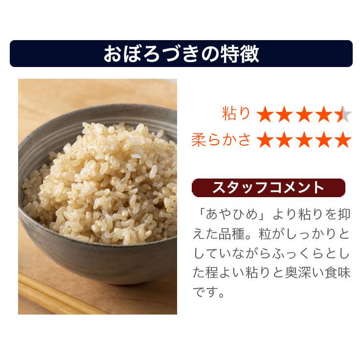 ゆめぴりか 期間限定ポイント 10倍! 玄米 送料無料 令和7年産 北海道米