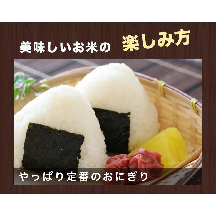 送料無料  令和6年産北海道米 安心 安全 有機米 お米 当麻  有機JAS とっとき 有機ゆきひかり (有機栽培 ゆきひかり100％)　5kg 有機栽培米 オーガニック | オーガニック | 05