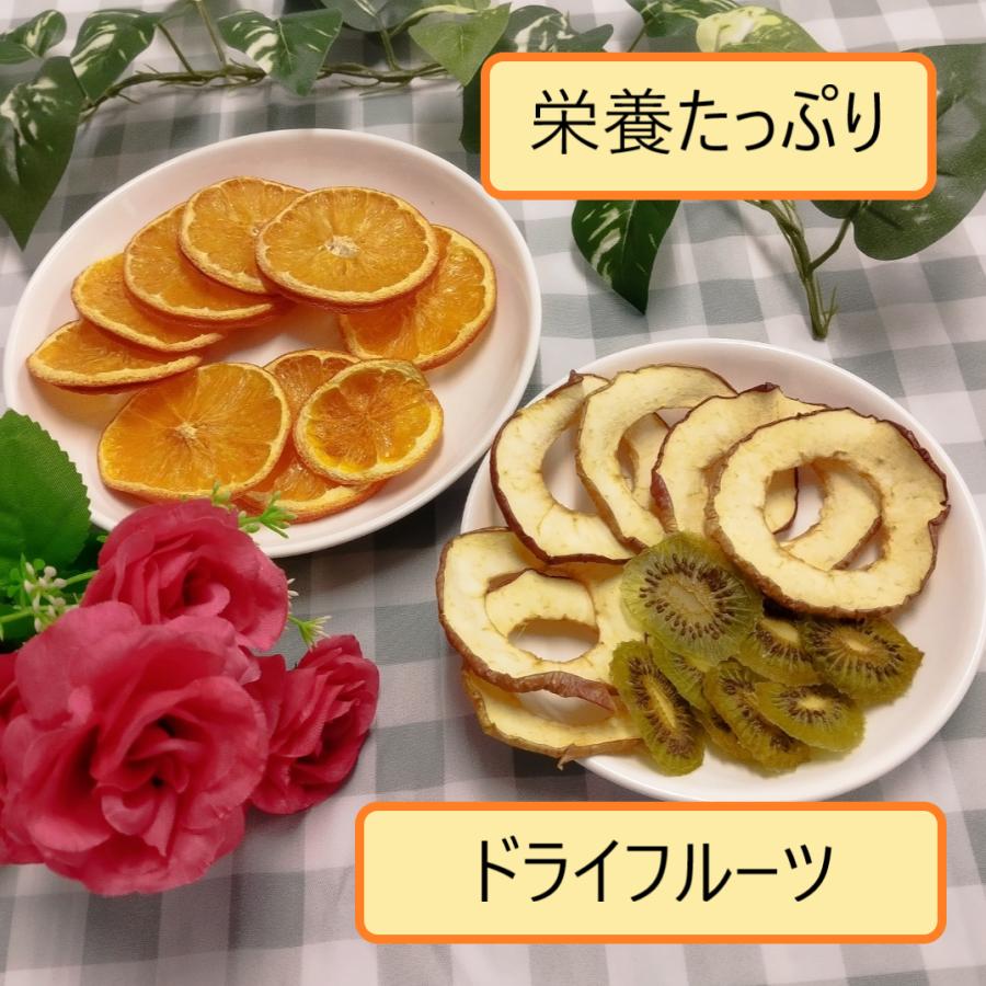 アウトレット プチマレンギmini TTM-270BL ブルー 食品乾燥機