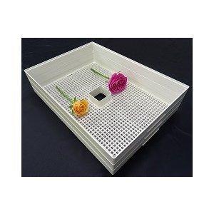 フードドライヤー プチマレンギDX プチマレンギDX ＋フィルター/5枚セット TTM-440N(FS) 家庭用食品乾燥