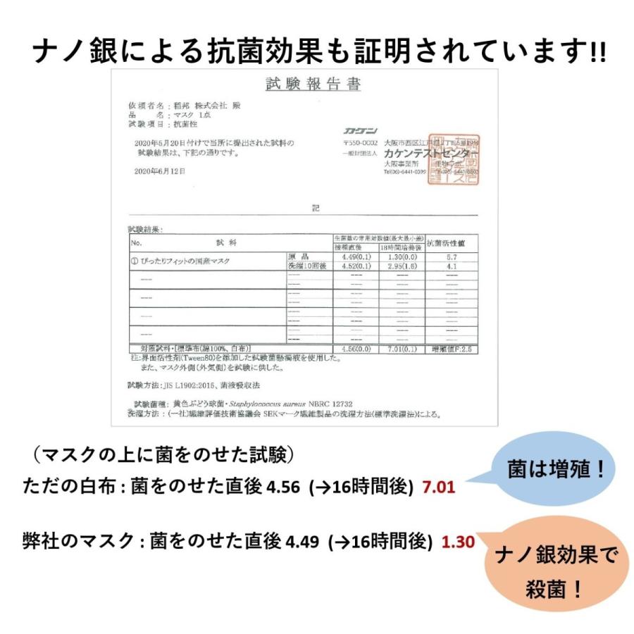 恐竜マスク 2枚入り フクイラプトル 日本製 洗える 抗菌 防臭消臭 Uvカット 花粉対策 速乾 福井県産 ケースプレゼント Tohomask 0003 稲邦株式会社 通販 Yahoo ショッピング