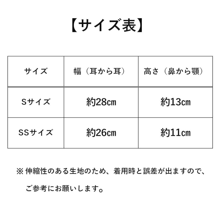 夏マスク 2枚入り 日本製 洗える 蒸れない 抗菌 防臭消臭 UVカット 速