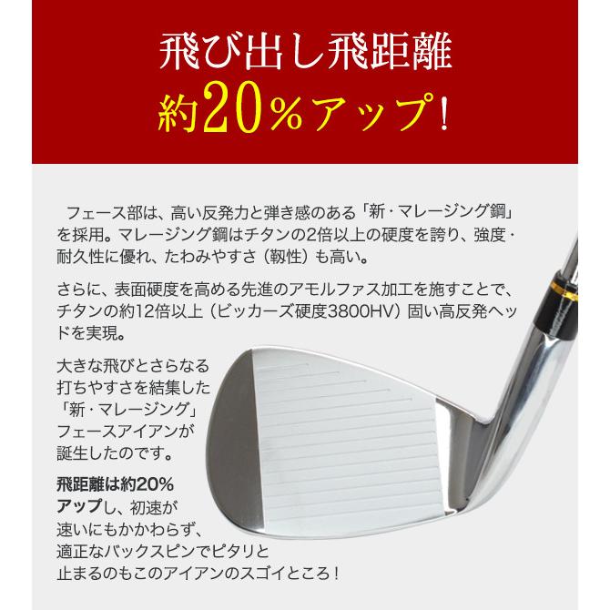 東邦ゴルフ アイアンセット NOW310 6本セット #5 6 7 8 9 PW 東邦ゴルフ アイアンセット NOW310 6本セット #5 6 7 8 9 PW