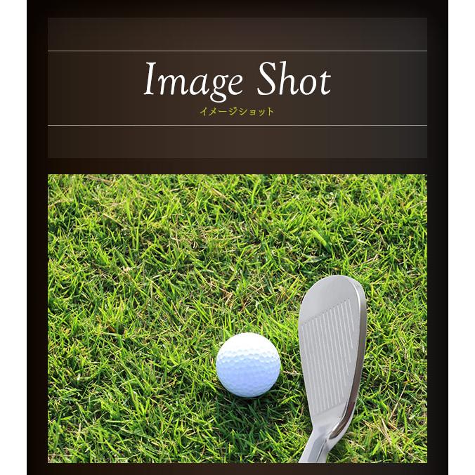 匠 ウェッジ forged 軟鉄鍛造 ネジ式 N.S.PRO シャフト 42度 44度 46度