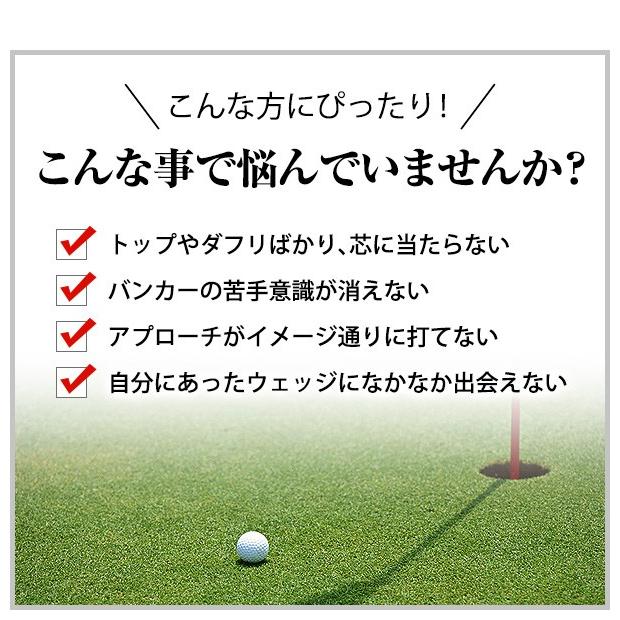 匠 ウェッジ ゴルフクラブ 匠スタンダード 2本セット 50度 52度 匠 ウェッジ ゴルフクラブ 匠スタンダード 2本セット 50度 52度