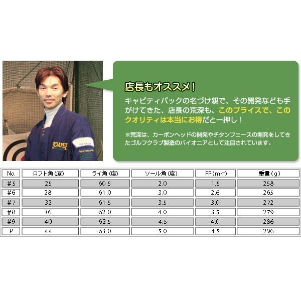 女性用 アイアン Now310 5 9 Pw キャビティバック レディース 飛距離アップ ゴルフクラブ 人気 デザイン 白いグリップ スチール カーボンシャフト Team 匠 Toho 東邦ゴルフ 通販 Yahoo ショッピング