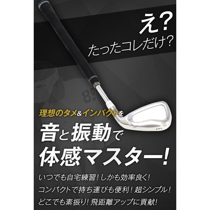 ゴルフ 練習器具 匠 スイングマスター プロ ヘッド付き 匠 スイングマスタープロ ヘッド付 スイング練習 自宅練習 飛