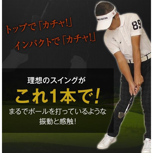 ゴルフ 練習器具 匠 スイングマスター プロ ヘッド付き 匠・スイングマスタープロヘッド付／スティックタイプ | 株式