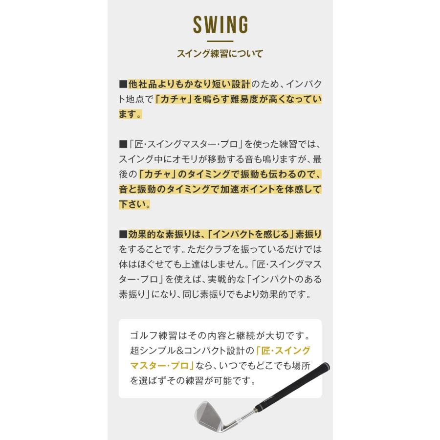 ゴルフ 練習器具 匠 スイングマスター プロ ヘッド付き 匠・スイングマスタープロヘッド付／スティックタイプ | 株式