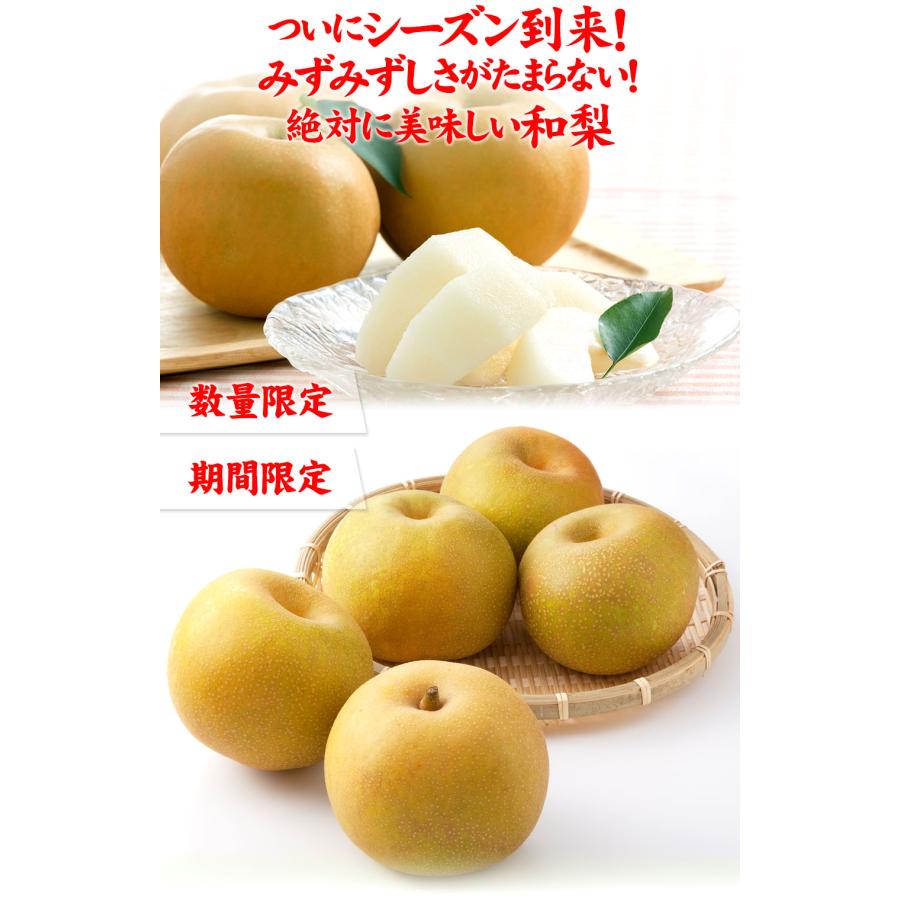 福島県産 特秀品 梨 約2.7kg（8〜13玉) 農家直送 送料無料 贈答