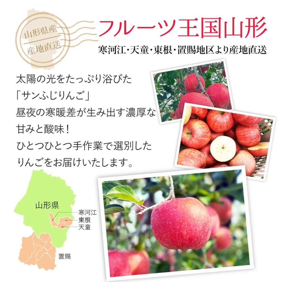 山形県産 訳あり サンふじりんご10kg(32~46玉)送料無料 ご家庭用