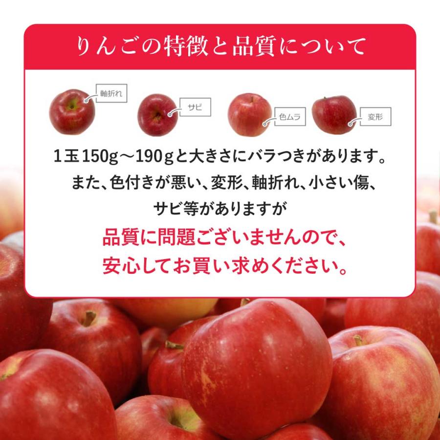 山形県産 訳あり サンふじりんご10kg(32~46玉)送料無料 ご家庭用