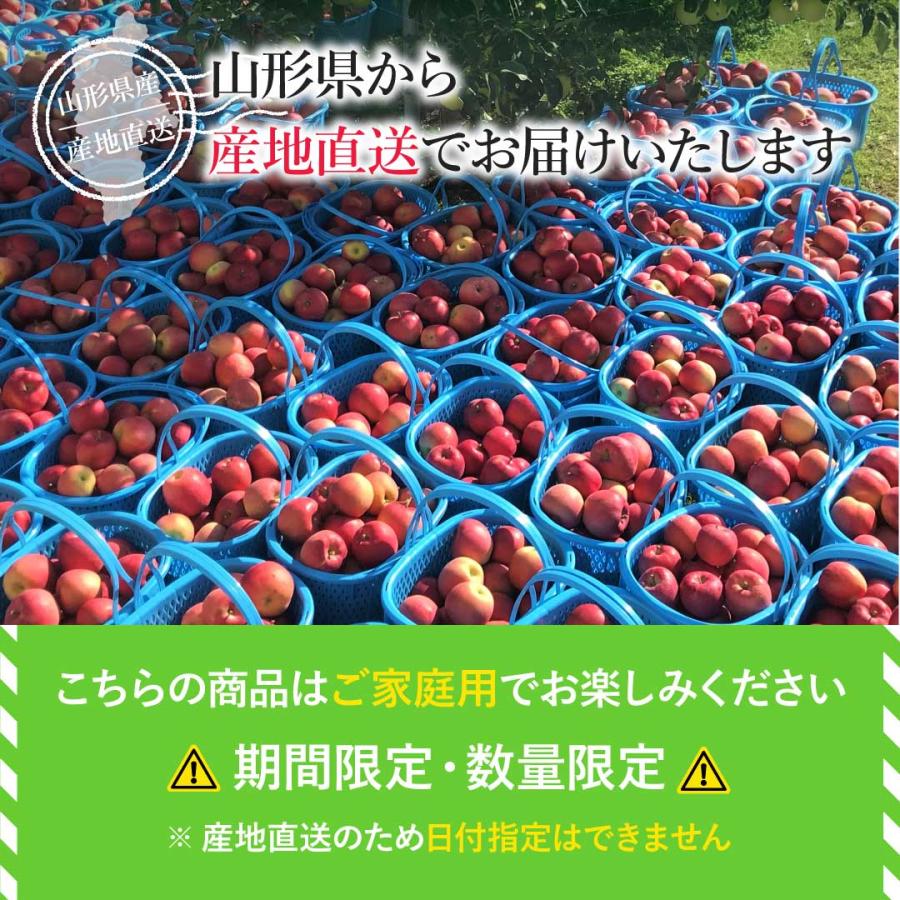 山形県産 訳あり サンふじりんご10kg(32~46玉)送料無料 ご家庭用
