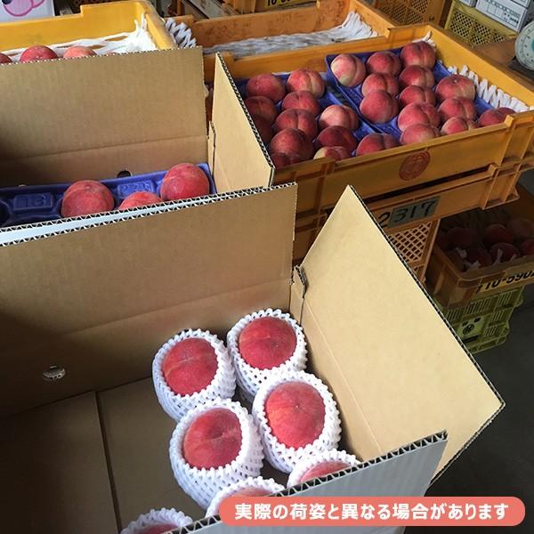 特秀品 桃 2.7kg 福島県桑折町 福島 特秀品 2.7kg箱 約6〜16玉 福島県産 農園直送 選べる9品種 ロイヤルピーチ｜tohoku-happy｜16