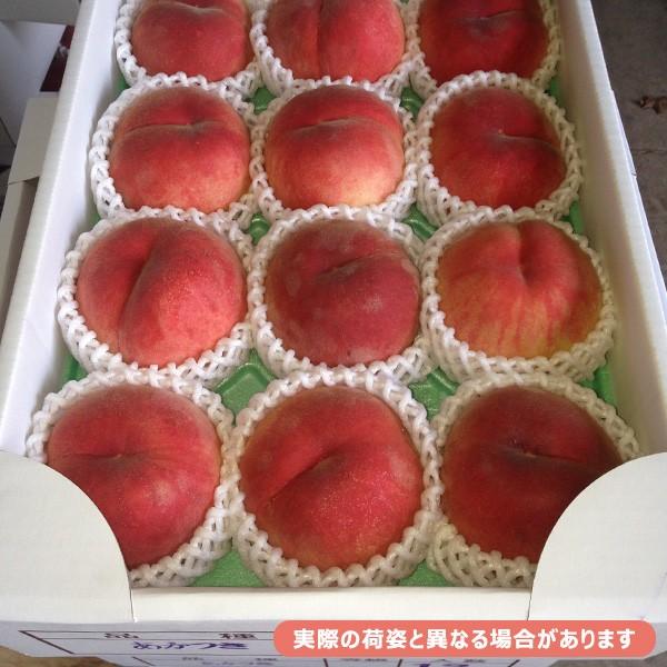 福島県産 特秀品 桃 2.7kg(約6〜16玉) 福島県桑折町より農園直送 福島県産 特秀品 桃 2.7kg(約6〜16玉) 福島県桑折町より農園直送