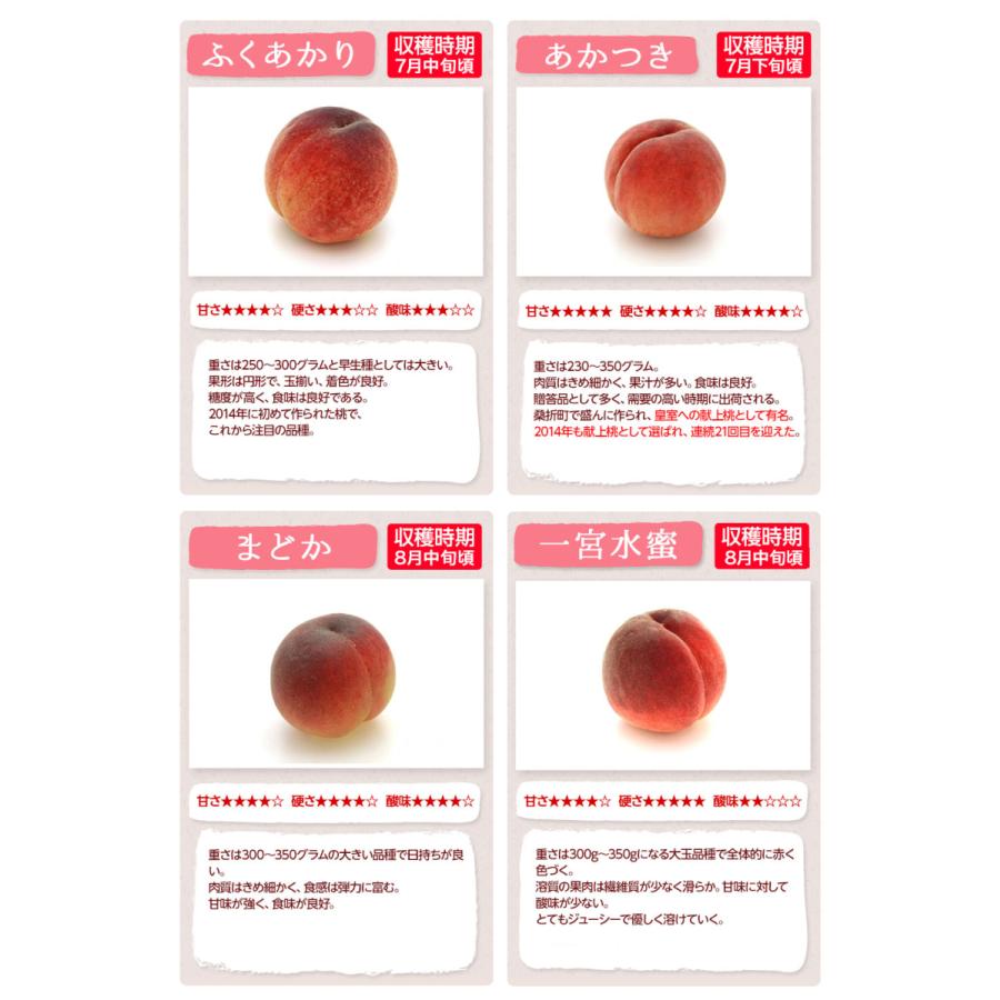 初入荷…‼️あかつき…‼️桃特大…類サイズ12玉入り‼️発泡スチロール