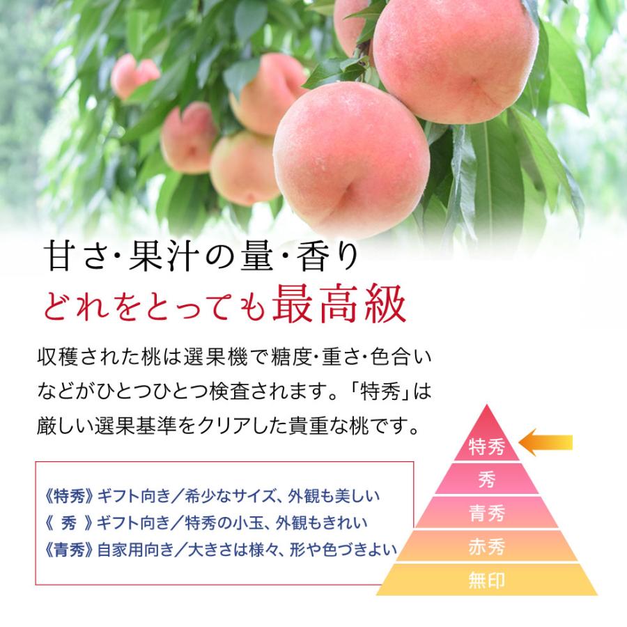 桃 福島県産 特秀品 2.7kg（6〜16玉）送料無料 ギフト 産地直送 : 東北