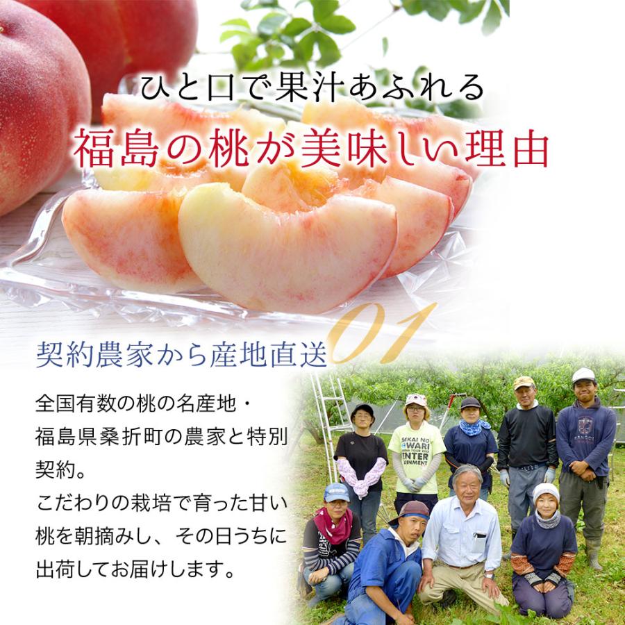 桃 福島県産 特秀品 2.7kg（6〜16玉）送料無料 ギフト 産地直送 : 東北