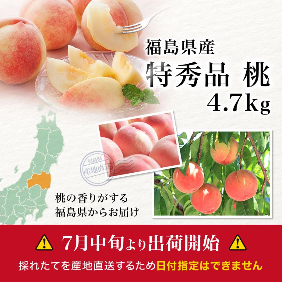 桃 福島県産 特秀品 4.7kg（14〜22玉）送料無料 ギフト 産地直送
