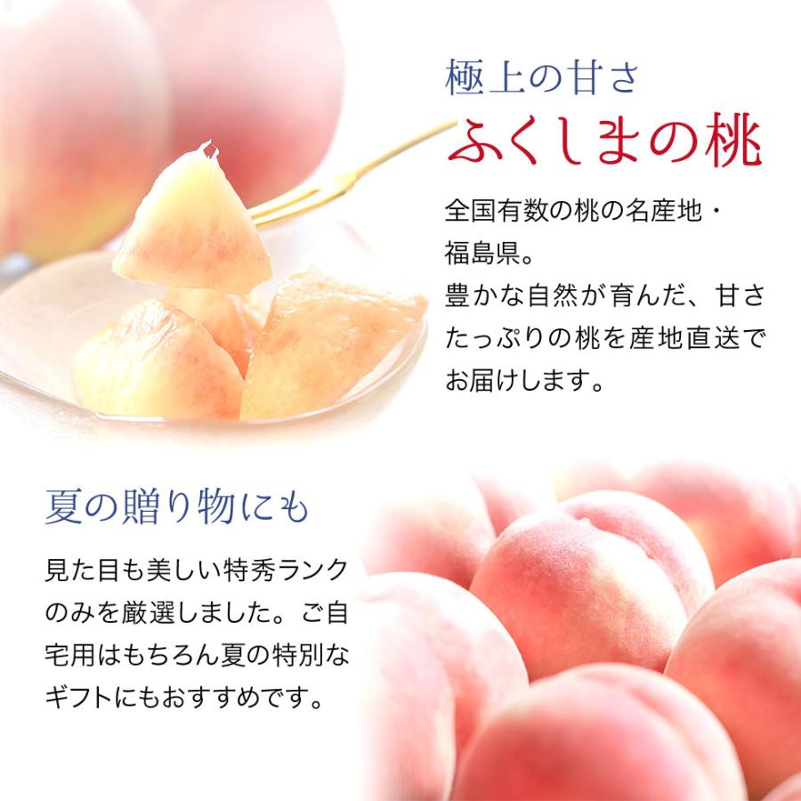 桃 福島県産 特秀品 4.7kg（14〜22玉）送料無料 ギフト 産地直送