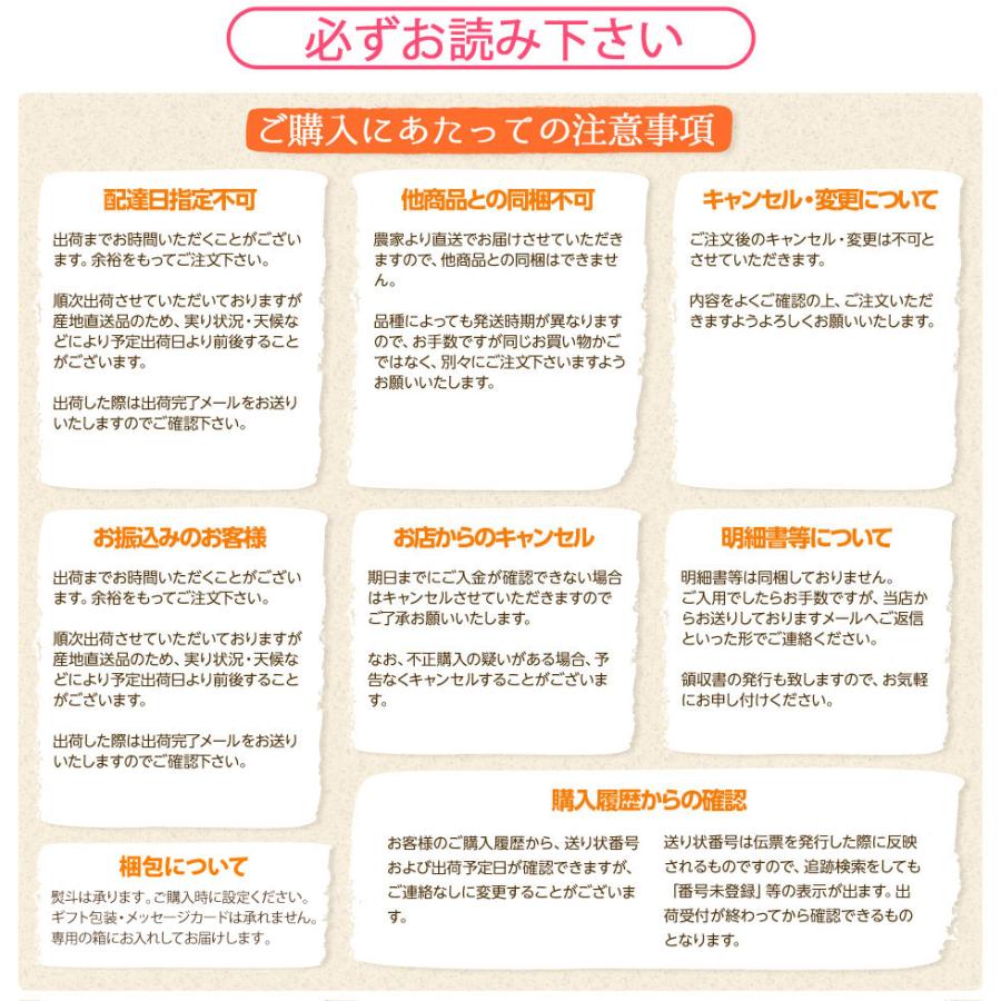 桃 福島県産 訳あり 4.7kg（15〜28玉）送料無料 家庭用 産地直送