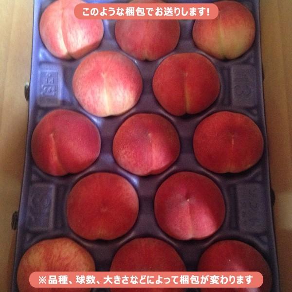 福島県産 訳あり桃 4.7kg(15〜28玉)福島県桑折町の桃を産地直送 送料