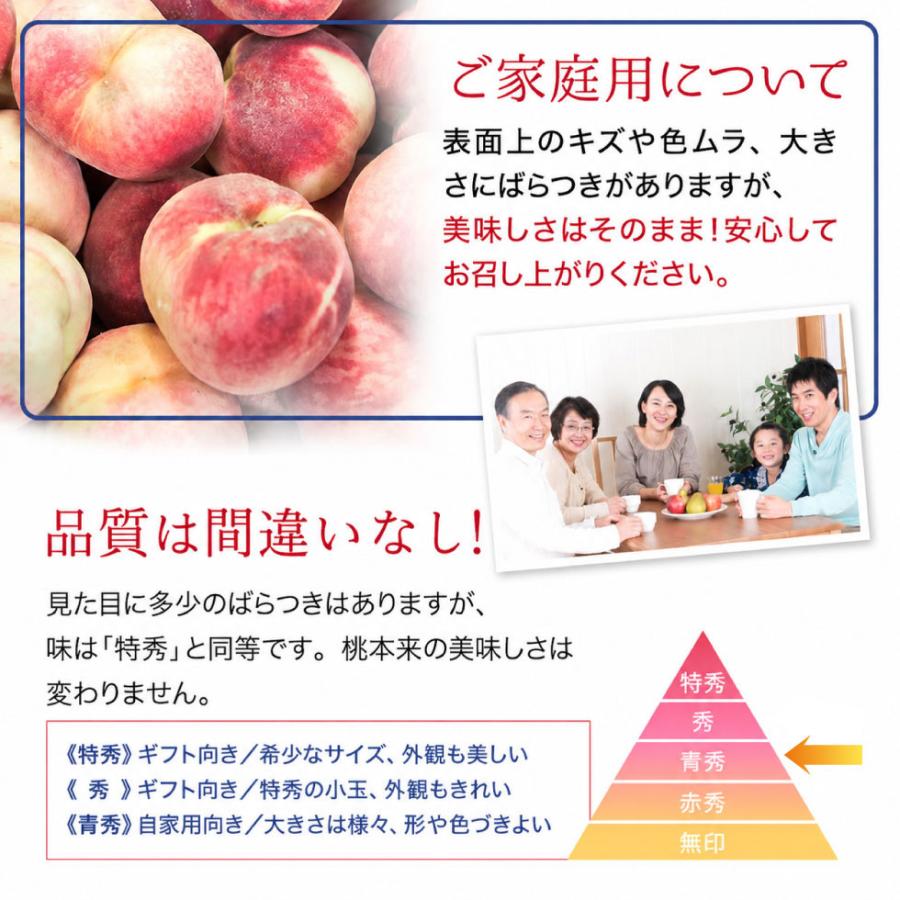 桃 福島県産 訳あり 4.7kg（15〜28玉）送料無料 家庭用 産地直送