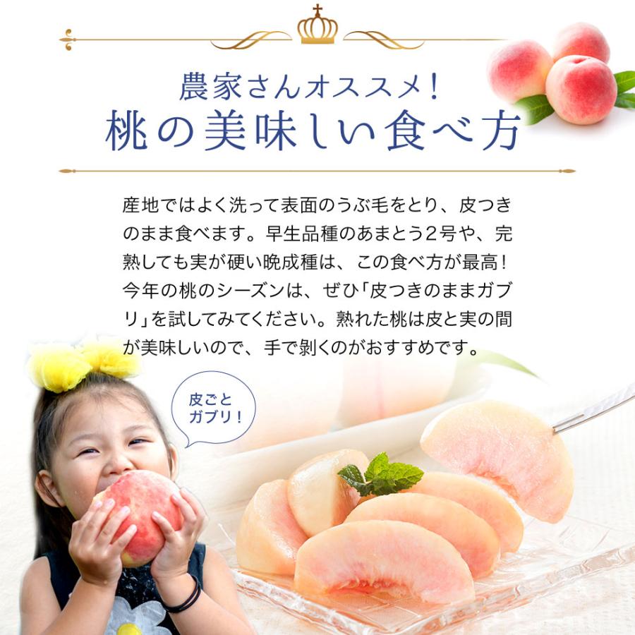 chariess　桃13玉×2箱　訳あり 桃 福島県産 訳あり 4.7kg（15〜28玉）送料無料 家庭用 産地直送