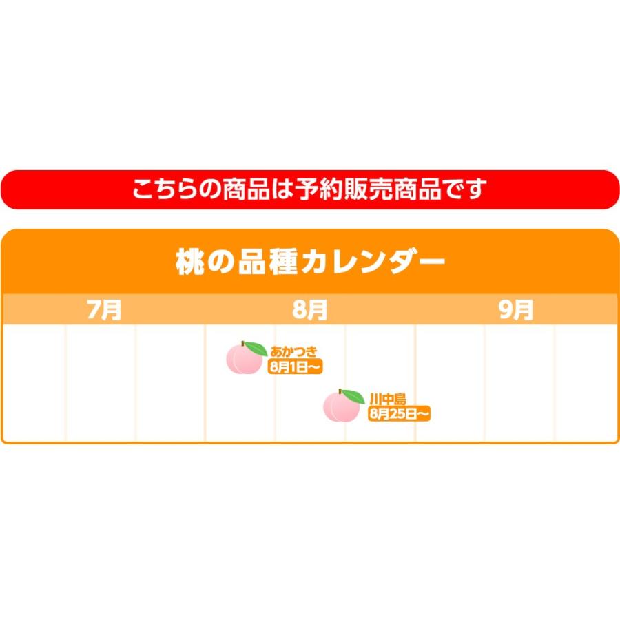 桃 福島 贈答用 大玉 送料無料 献上桃 特秀品 4 7kg 15 16玉 福島県産 農園直送 あかつき 川中島にて発送 東北ハッピー農園 通販 Yahoo ショッピング