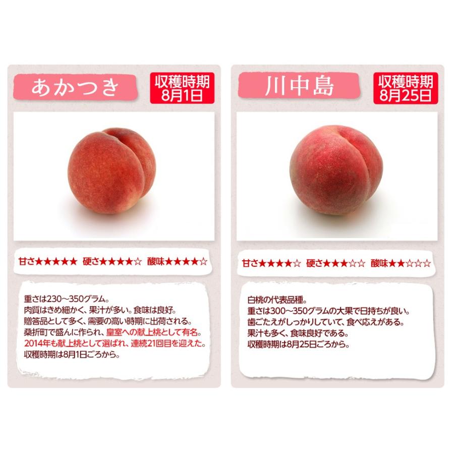 桃 福島 贈答用 大玉 送料無料 献上桃 特秀品 4 7kg 15 16玉 福島県産 農園直送 あかつき 川中島にて発送 東北ハッピー農園 通販 Yahoo ショッピング