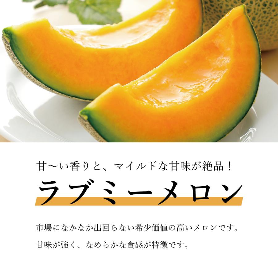 メロン 茨城県産 赤肉 青肉 ミックス 秀品 約5kg（4.5〜5kg）5〜6玉 