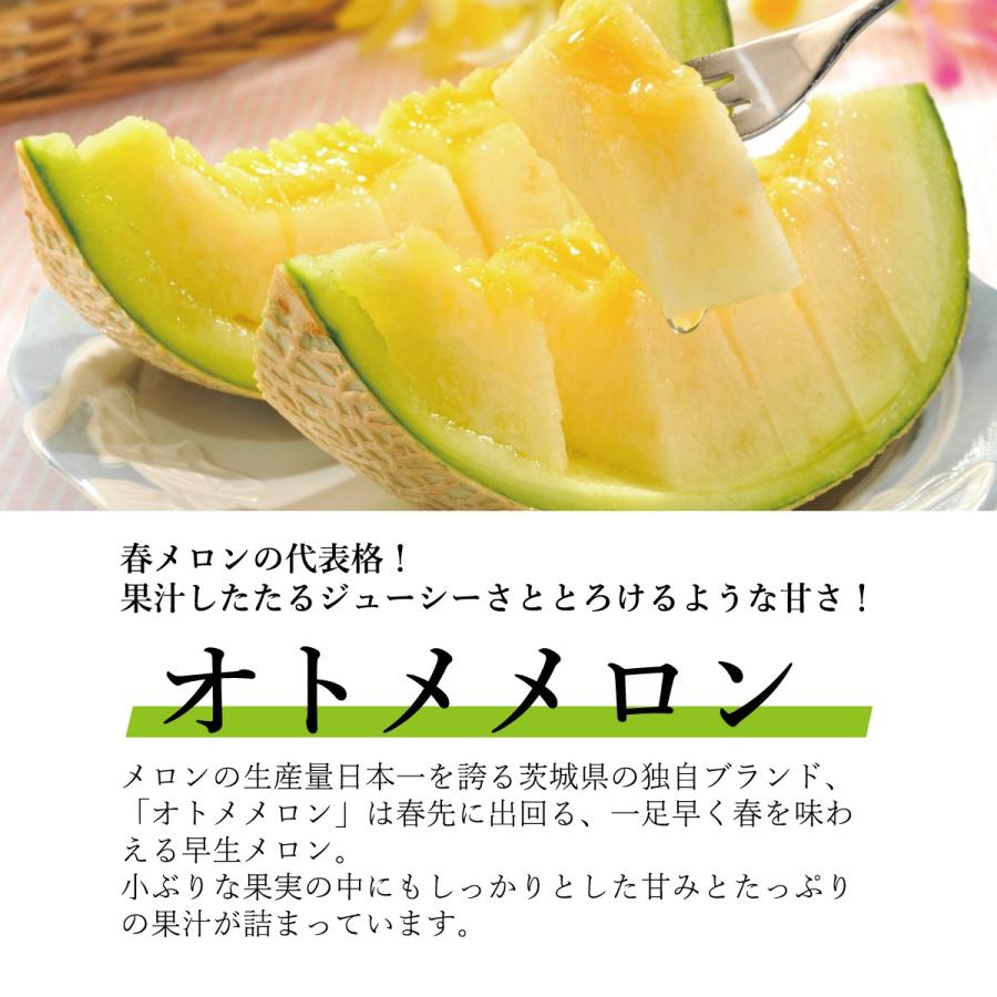 メロン 茨城県産 青肉 秀品 約2kg（1.5〜2kg）2玉 送料無料 ギフト