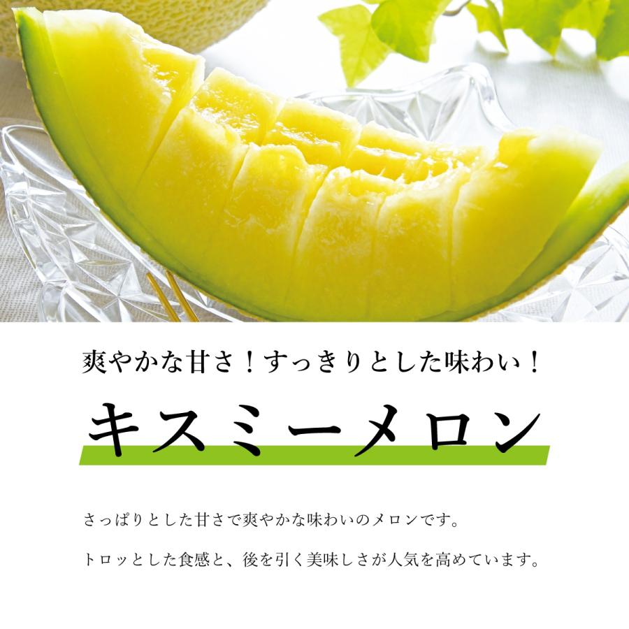 メロン 茨城県産 青肉 秀品 約2kg（1.5〜2kg）2玉 送料無料 ギフト