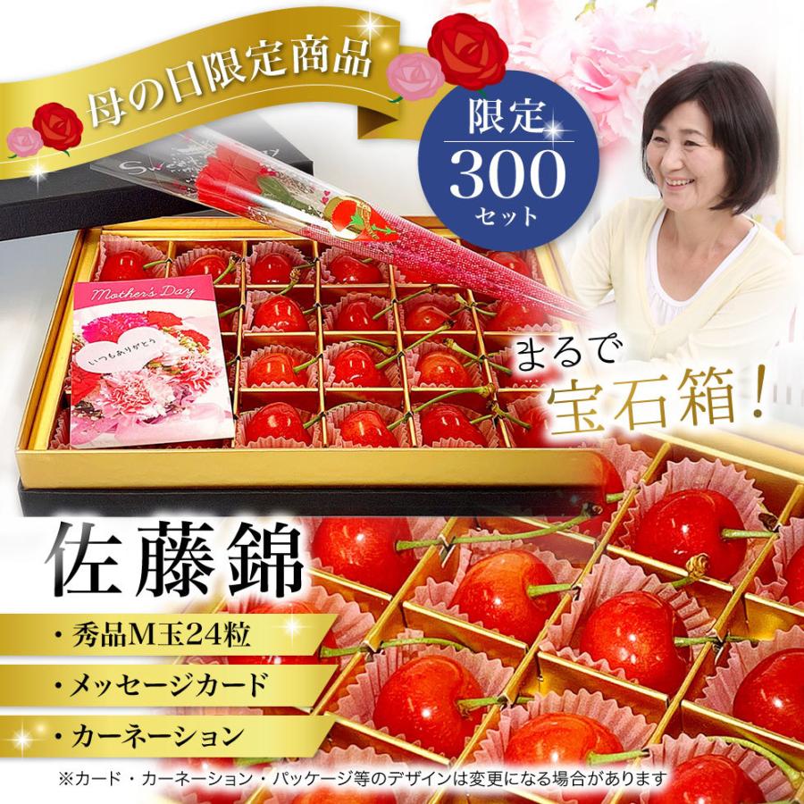 母の日 さくらんぼ 佐藤錦 24粒 ギフトボックス カーネーション付き