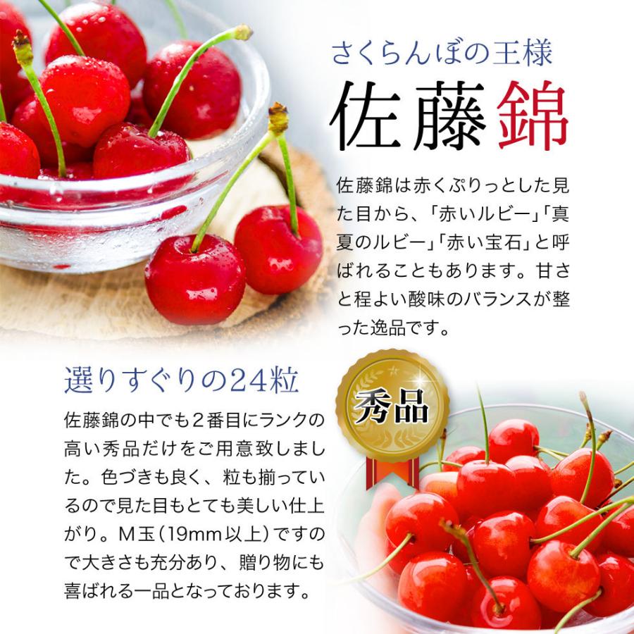 母の日 さくらんぼ 佐藤錦 24粒 ギフトボックス カーネーション付き