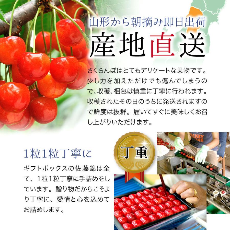 母の日 さくらんぼ 佐藤錦 24粒 ギフトボックス カーネーション付き