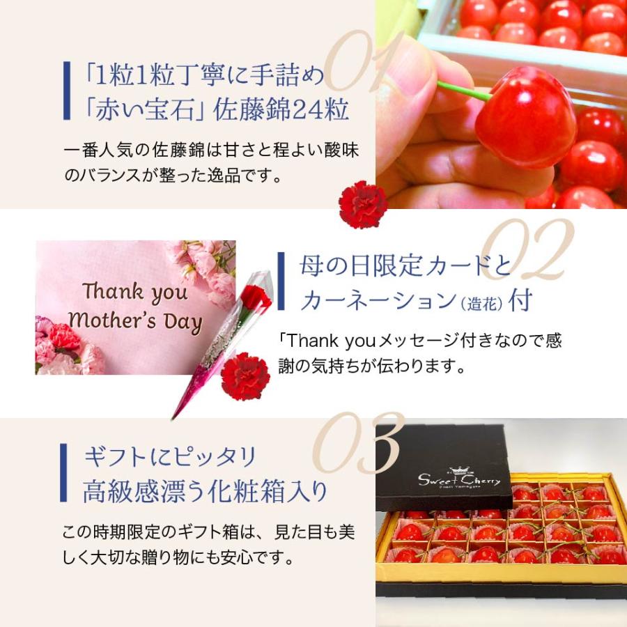 母の日 さくらんぼ 佐藤錦 24粒 ギフトボックス カーネーション付き