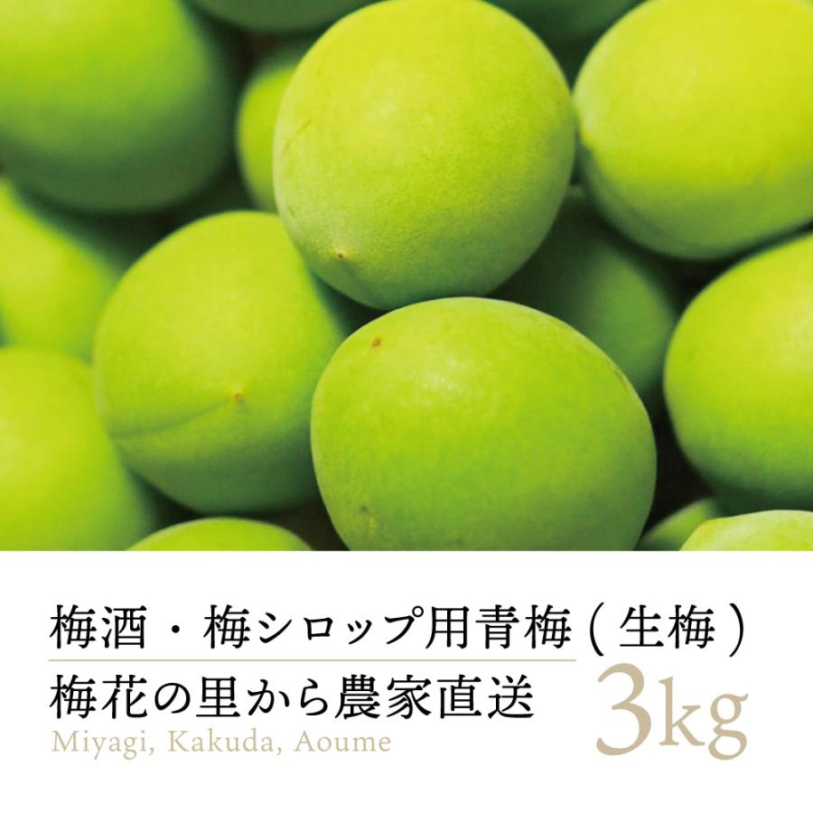2026年度 予約 6/11から順次配送 送料無料 *沖縄離島追加料金あり