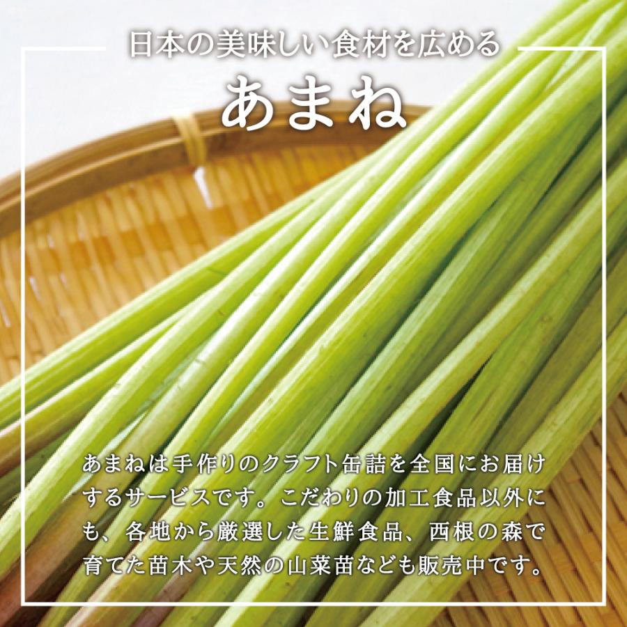 2026年度 販売中 天然山菜 フキ 苗】西根の森 天然山菜の苗 フキの