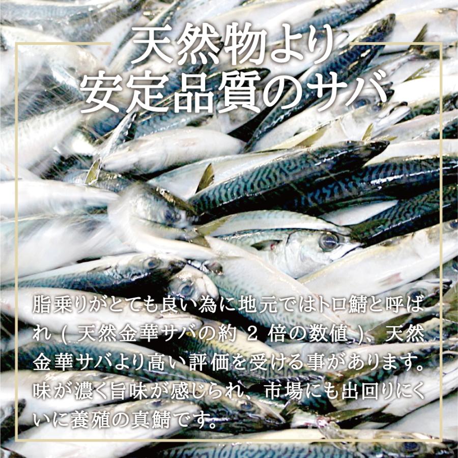 宮城県 南三陸産 真サバ 真鯖の刺身 1枚 鯖 刺し身 さば サバ 真鯖 真さば 旬 瞬間冷凍 冷凍 クール便 三陸産 刺し身 刺身 さしみ サシミ Sabasashi 01 あまね 通販 Yahoo ショッピング