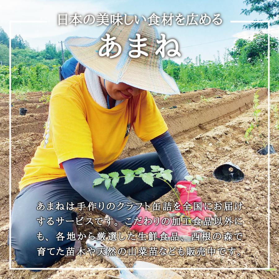 2025年 予約販売 販売中 山菜 タラの木 苗】西根の森 タラの木の苗