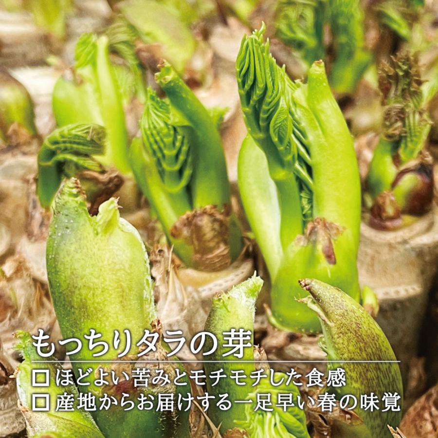 2024-25年度 予約受付中 3/14から順次発送 国産 産直 山菜】西根 2024-25年度 予約受付中 3/14から順次発送 国産 産直 山菜】西根