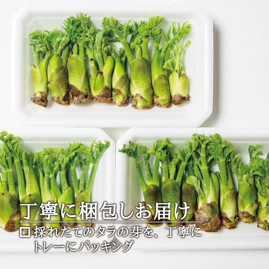 2024-25年度 予約受付中 3/14から順次発送 国産 産直 山菜】西根 2024-25年度 予約受付中 3/14から順次発送 国産 産直 山菜】西根