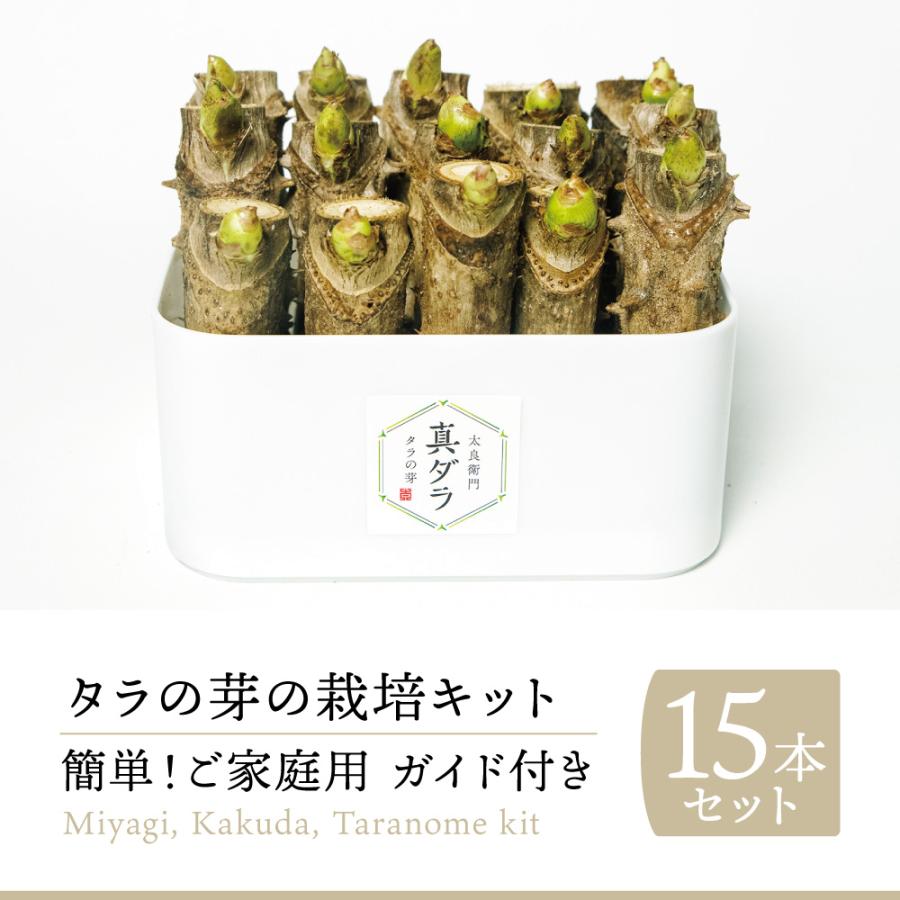 2024-25年度 予約受付中 3/14 から順次発送 送料無料 国産 山菜 2024-25年度 予約受付中 3/14 から順次発送 送料無料 国産 山菜