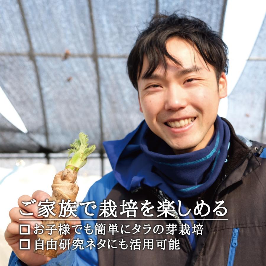 2024-25年度 予約受付中 3/14 から順次発送 送料無料 国産 山菜 2024-25年度 予約受付中 3/14 から順次発送 送料無料 国産 山菜