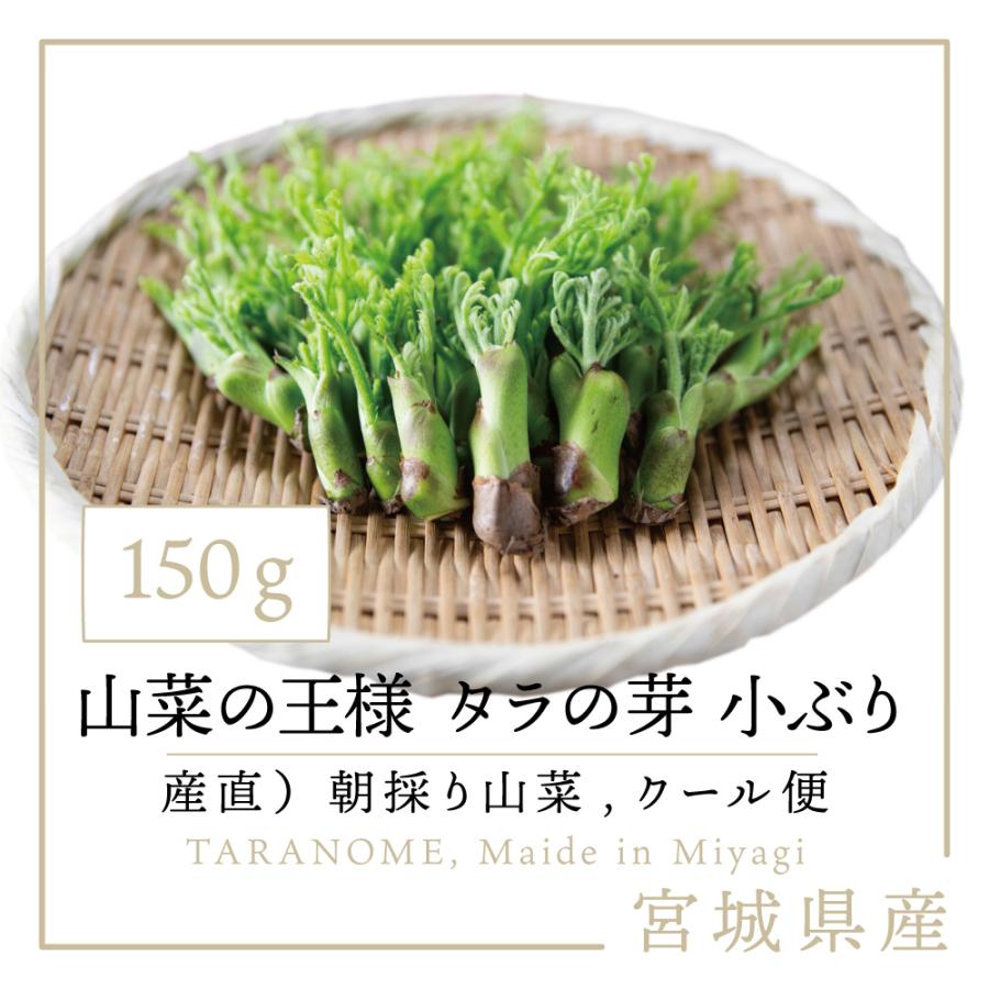 国産 産直 山菜 栽培モノ タラの芽 小ぶり 150g たらの芽 タラノメ たらのめ かき揚げ天ぷら向き 産地直送 宮城県産 クール便 Taranomesmall 酒肴の蔵66 通販 Yahoo ショッピング