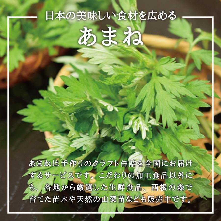 2025年度 販売中 天然山菜 ヨモギ 苗】西根の森 天然山菜の苗 ヨモギの