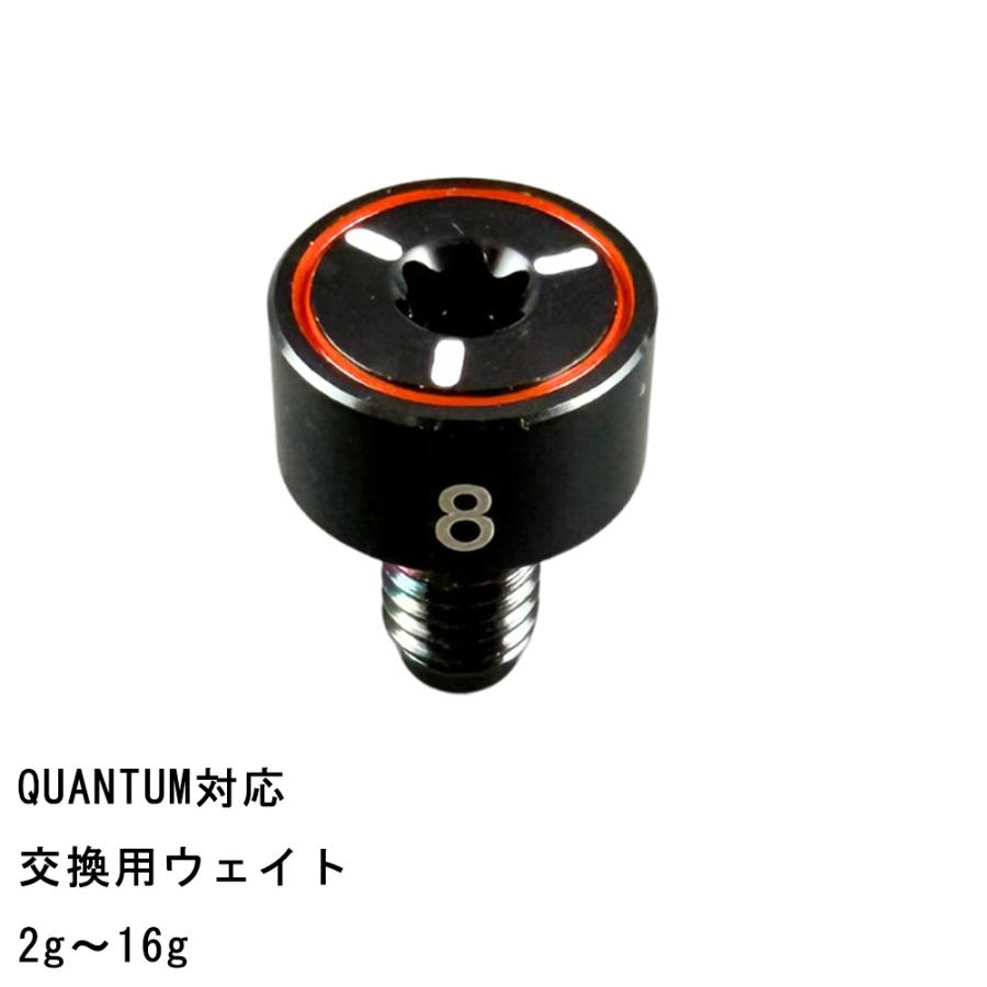 キャロウェイ QUANTUM（クワンタム） ウェイト ドライバー用 Quantum Max（TD）/ Max-D / TD-TD（LH）対応 交換用ウェイト  ゴルフクラブ バランス調整 汎用品 | 