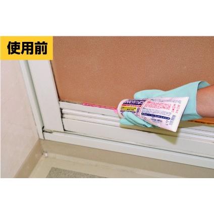かび 黒かび 除去 風呂 かびとりいっぱつ 500g×10本 (ケース販売) (業務用カビ除去剤) ジェルタイプでかびを強力に除去_1