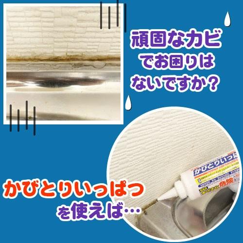 かび 黒かび 除去 風呂 かびとりいっぱつ 500g×10本 (ケース販売) (業務用カビ除去剤) ジェルタイプでかびを強力に除去_3